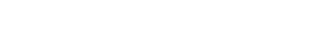 WWI Logo white no Slogan